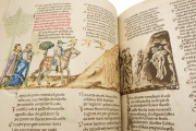 Divine Comedy - Hamburg-Altona Manuscript, Hamburg, Bibliothek des Gymnasiums Christianeum, MS N.2 Aa 5/7 − Photo 18