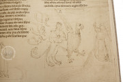 Divine Comedy - Hamburg-Altona Manuscript, Hamburg, Bibliothek des Gymnasiums Christianeum, MS N.2 Aa 5/7 − Photo 20