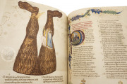 Divine Comedy - Hamburg-Altona Manuscript, Hamburg, Bibliothek des Gymnasiums Christianeum, MS N.2 Aa 5/7 − Photo 21