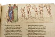 Divine Comedy - Hamburg-Altona Manuscript, Hamburg, Bibliothek des Gymnasiums Christianeum, MS N.2 Aa 5/7 − Photo 24