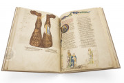 Divine Comedy - Hamburg-Altona Manuscript, Hamburg, Bibliothek des Gymnasiums Christianeum, MS N.2 Aa 5/7 − Photo 26