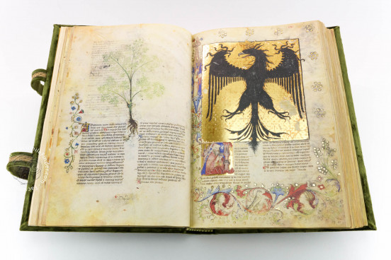 Historia Plantarum, Ms. 459 - Biblioteca Casanatense (Rome, Italy) − photo 1
