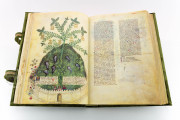 Historia Plantarum, Ms. 459 - Biblioteca Casanatense (Rome, Italy) − photo 4