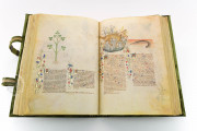 Historia Plantarum, Ms. 459 - Biblioteca Casanatense (Rome, Italy) − photo 14