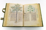 Historia Plantarum, Ms. 459 - Biblioteca Casanatense (Rome, Italy) − photo 16