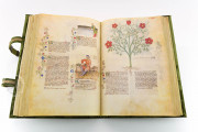Historia Plantarum, Ms. 459 - Biblioteca Casanatense (Rome, Italy) − photo 19
