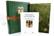 Historia Plantarum, Ms. 459 - Biblioteca Casanatense (Rome, Italy) − photo 28
