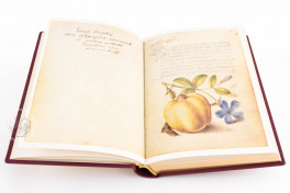 Model Book of Calligraphy Facsimile Edition