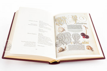 Model Book of Calligraphy « Facsimile edition