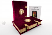 Bible of Borso d'Este, Modena, Biblioteca Estense Universitaria, Mss. Lat. 422 and Lat.423 − Photo 2