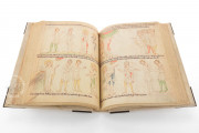 Velislav's Bible, Prague, National Library of the Czech Republic − Photo 5