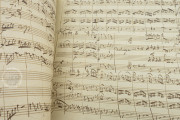 Eine Kleine Nachtmusik K. 525, Private Collection − Photo 11