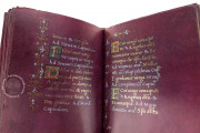 Book of Hours of Cardinal Carafa, Vatican City, Biblioteca Apostolica Vaticana, ms. vat. lat. 9490 − Photo 12
