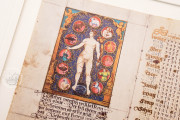 Masterpieces of the Medieval World of Stars (Collection), Multiple Locations − Photo 22