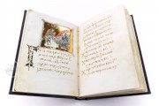 Akathistos hymnos, San Lorenzo de El Escorial, Real Biblioteca del Monasterio de El Escorial, R.I.19 − Photo 11