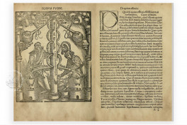 Coelum philosophorum seu de Secretis Naturae Facsimile Edition