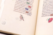 Book of Drolleries - The Croy Hours, Vienna, Österreichische Nationalbibliothek, Codex 1858 − Photo 17