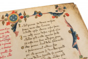 Divine Comedy Codice Trivulziano 1080, Milan, Biblioteca Trivulziana del Castello Sforzesco, Cod. Triv. 1080 − Photo 10