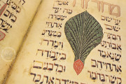 The Golden Haggadah, London, British Library, Add. Ms 27210 − Photo 7