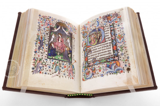 Officium Beatae Mariae Virginis, Bologna, Biblioteca Universitaria di Bologna, ms. 1138 − Photo 1