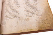 Divina Commedia Strozzi 152, Florence, Biblioteca Medicea Laurenziana, Strozzi 152 − Photo 17