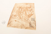 Drawings of Leonardo da Vinci and his circle - Biblioteca Ambros, Milan, Biblioteca Ambrosiana − Photo 9