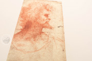 Drawings of Leonardo da Vinci and his circle - Biblioteca Ambros, Milan, Biblioteca Ambrosiana − Photo 11
