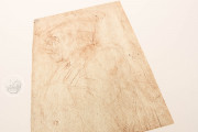 Drawings of Leonardo da Vinci and his circle - Biblioteca Ambros, Milan, Biblioteca Ambrosiana − Photo 12