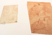 Drawings of Leonardo da Vinci and his circle - Biblioteca Ambros, Milan, Biblioteca Ambrosiana − Photo 18