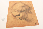 Drawings of Leonardo da Vinci and his circle - Biblioteca Ambros, Milan, Biblioteca Ambrosiana − Photo 19