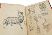 Treatise on astrology by Albumazar, London, British Library, Sloane 3983 − Photo 6