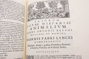 Rerum Medicarum Novae Hispaniae Thesaurus, Rome, Biblioteca dell'Accademia Nazionale dei Lincei e Corsiniana, Accademia Nazionale dei Lincei, Archivio Linceo n. 31 − Photo 19