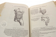 Andreas Vesalius: De Humani Corporis Fabrica and Epitome, Kyoto, International Research Center for Japanese Studies Library, I/115 − Photo 4