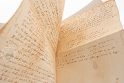 Christopher Columbus' documents in the Casa de Alba archive, Madrid, Fundación Casa de Alba − Photo 6