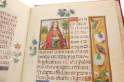 Simon Bening’s Flowers Book of Hours, Munich, Bayerische Staatsbibliothek, Clm 23637 − Photo 15
