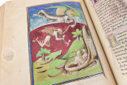 Berry Apocalypse, New York, The Morgan Library & Museum, MS M.133 − Photo 13