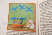 Berlin Aurora Consurgens, Berlin, Staatsbibliothek zu Berlin, MS germ. qu. 848 − Photo 18