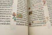 Breviary of the Countess Bertiandos, Lisbon, Academia das Ciências de Lisboa, MS Azul 1813 − Photo 13