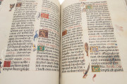 Breviary of the Countess Bertiandos, Lisbon, Academia das Ciências de Lisboa, MS Azul 1813 − Photo 16