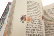 Breviary of the Countess Bertiandos, Lisbon, Academia das Ciências de Lisboa, MS Azul 1813 − Photo 23