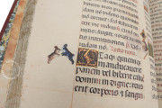 Breviary of the Countess Bertiandos, Lisbon, Academia das Ciências de Lisboa, MS Azul 1813 − Photo 24