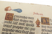 Breviary of the Countess Bertiandos, Lisbon, Academia das Ciências de Lisboa, MS Azul 1813 − Photo 33