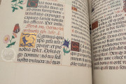 Breviary of the Countess Bertiandos, Lisbon, Academia das Ciências de Lisboa, MS Azul 1813 − Photo 35