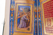 Hours of Frederick III of Aragon, Paris, Bibliothèque nationale de France, MS lat. 10532 − Photo 12