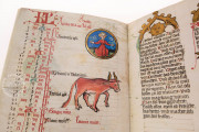 Medical and Astrological Almanac, Strasbourg, Bibliothèque nationale et universitaire, Ms. 7.141 − Photo 4