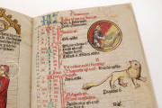 Medical and Astrological Almanac, Strasbourg, Bibliothèque nationale et universitaire, Ms. 7.141 − Photo 7