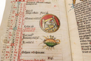 Medical and Astrological Almanac, Strasbourg, Bibliothèque nationale et universitaire, Ms. 7.141 − Photo 10