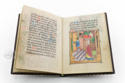 Prayers of Repentance by Albrecht Glockendon for John II Palatin, 10013 - Bayerische Staatsbibliothek (Munich, Germany) − photo 7