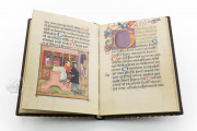Prayers of Repentance by Albrecht Glockendon for John II Palatin, 10013 - Bayerische Staatsbibliothek (Munich, Germany) − photo 9