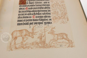 Maximilian I Prayer Book, Munich, Bayerische Staatsbibliothek, 2 L.impr.membr. 64 − Photo 12